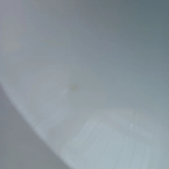 LIMOGES FRANCE 10"VINTAGE HAND PAINTED PLATE PEONIES - Picture 4 of 14